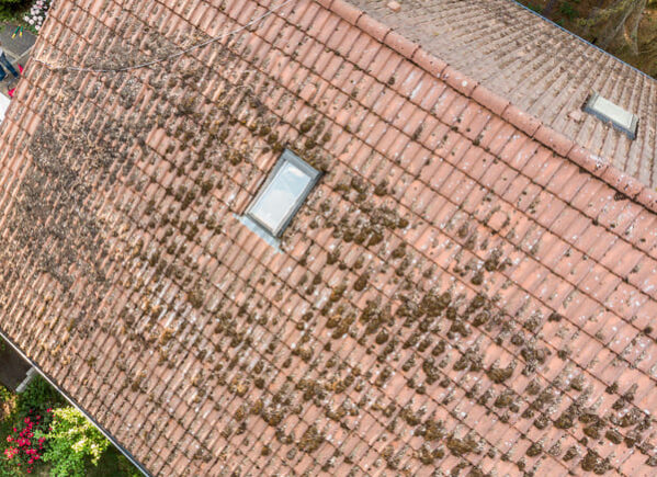 Revo Roofing - roof surveys 2